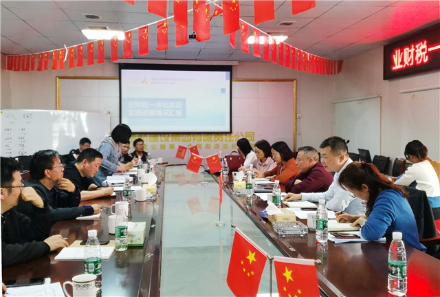 业财税一体化系统施前进展情况汇报.jpg